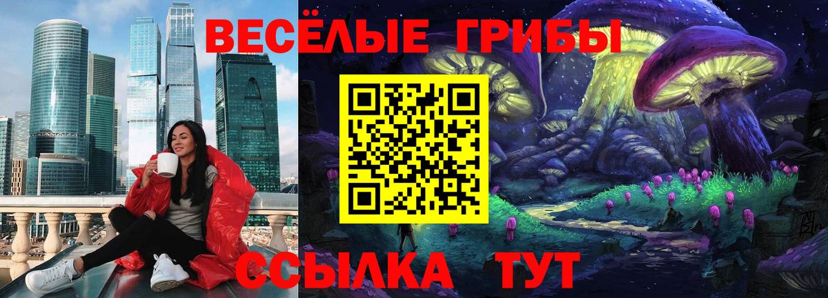 Галлюциногенные грибы GOLDEN TEACHER  Вход с VPN  Галлюциногенные грибы Psilocybe  Ржев 